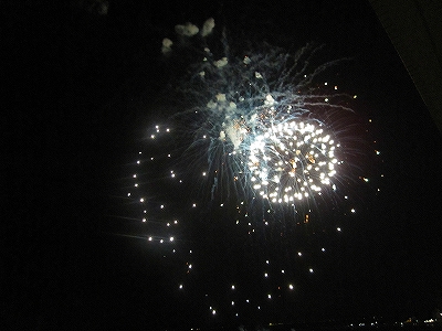 IMG_0531.jpg