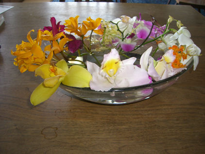 aCIMG6181.JPG